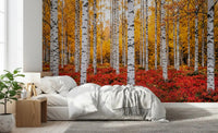 Golden Canopy, Red Carpet wall mural with tall autumn woodland detail
