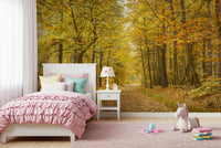 Shimmering golden leaves on Golden Canopy Trail Wall Mural print.