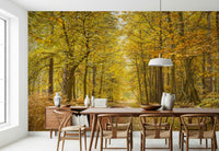 Golden Canopy Trail Wall Mural in a sophisticated living room.
