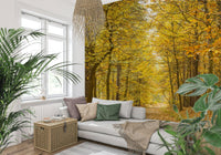 Headboard backdrop showcasing Golden Canopy Trail Wall Mural.