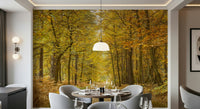 Inspiring home office featuring Golden Canopy Trail Wall Mural.