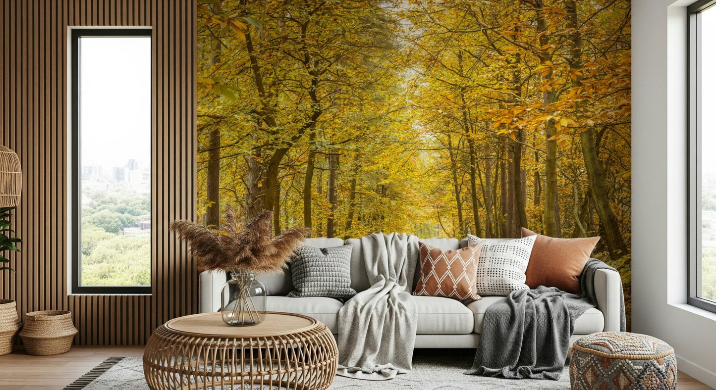 Warm, gentle lighting from Golden Canopy Trail Wall Mural print.