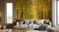 Warm, gentle lighting from Golden Canopy Trail Wall Mural print.