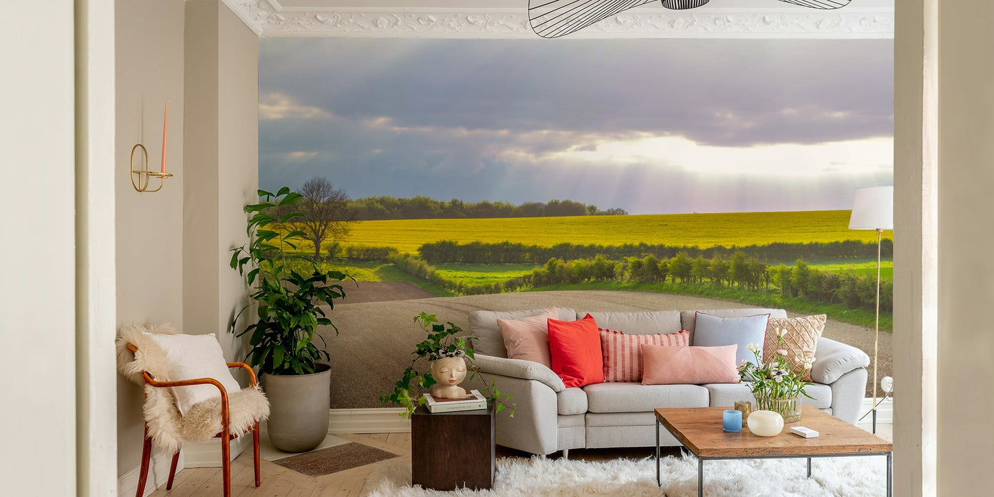 The fields are wide and stretch into the distance.

