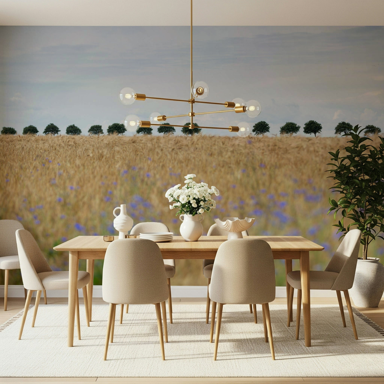A beautiful golden field wallpaper mural with sunlit grass.