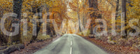 Golden-hued forest mural for interiors, GD2027