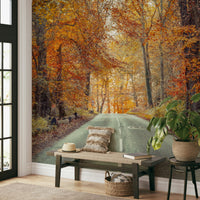 Autumn forest path wallpaper mural, GD2027