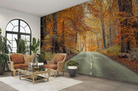 Warm fall forest wallpaper for walls, GD2027