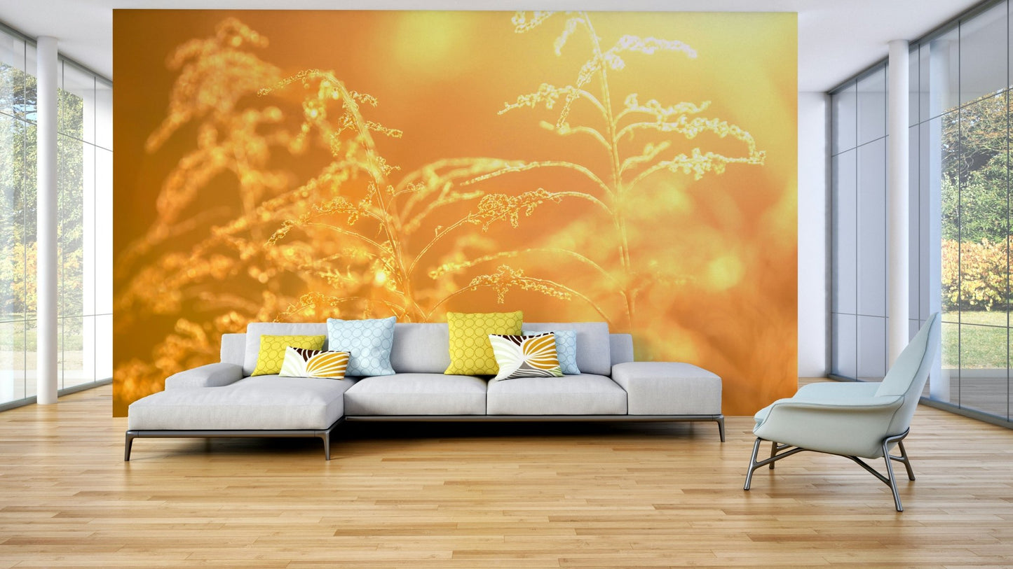 Tranquil field of sunlit foliage.

