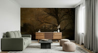 A calming serene forest wallpaper mural that defines a space., GD5614