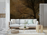 A contemplative misty forest wallpaper mural for a feature wall., GD5614