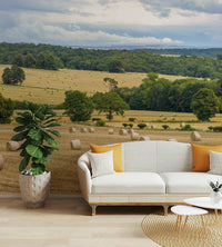 The image shows a vast field of golden grain.

