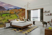 Focus on light play and natural forms.

