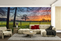 The overall feel is quiet and serene.

