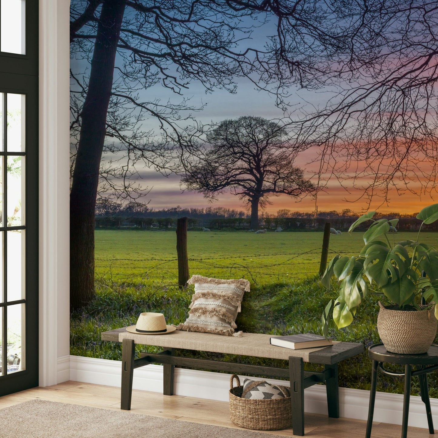 The sun is setting, casting a warm, golden glow on the grass.

