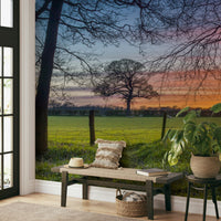 The sun is setting, casting a warm, golden glow on the grass.

