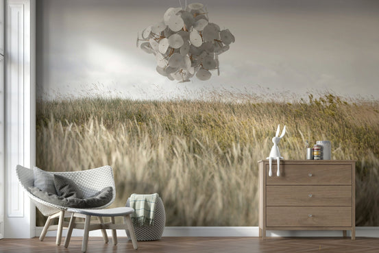 A beautiful golden meadow wallpaper mural of a sunlit field., GD5773