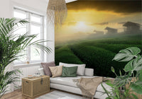 A contemplative gentle design wallpaper mural for a feature wall.