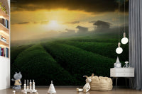 A serene flowing design wall mural for your decor.