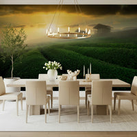 A calming abstract design wallpaper mural that defines a space.