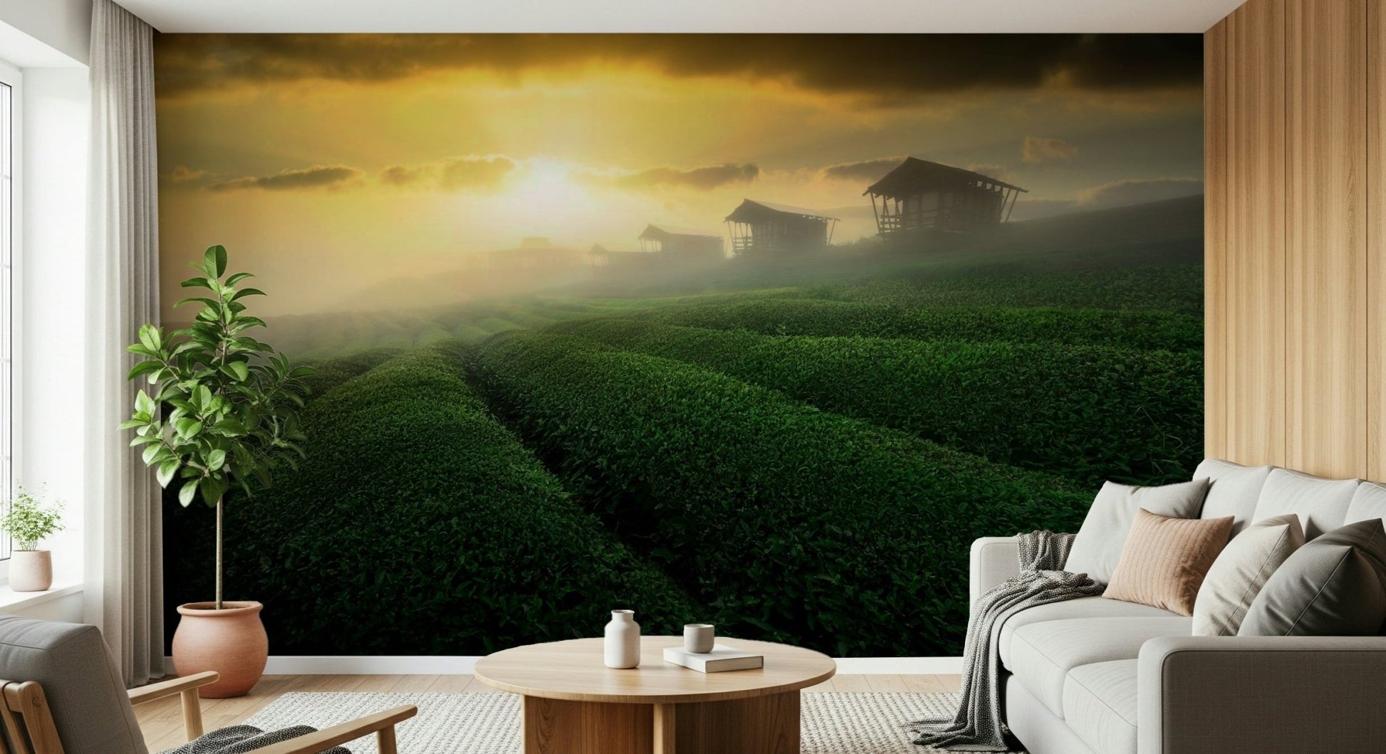 A beautiful golden mist tea estate wallpaper mural for a modern home.