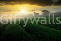 A high-quality abstract print wall mural for walls.