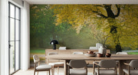 Golden Radiance wall mural for a sophisticated and luxury feature wall.