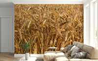Peaceful scenery Golden Wheat Field Bliss Wall Mural