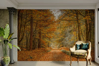 The trees are tall and have bare branches.

