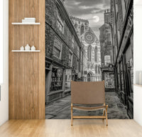A contemplative mysterious scene wallpaper mural for a feature wall.

