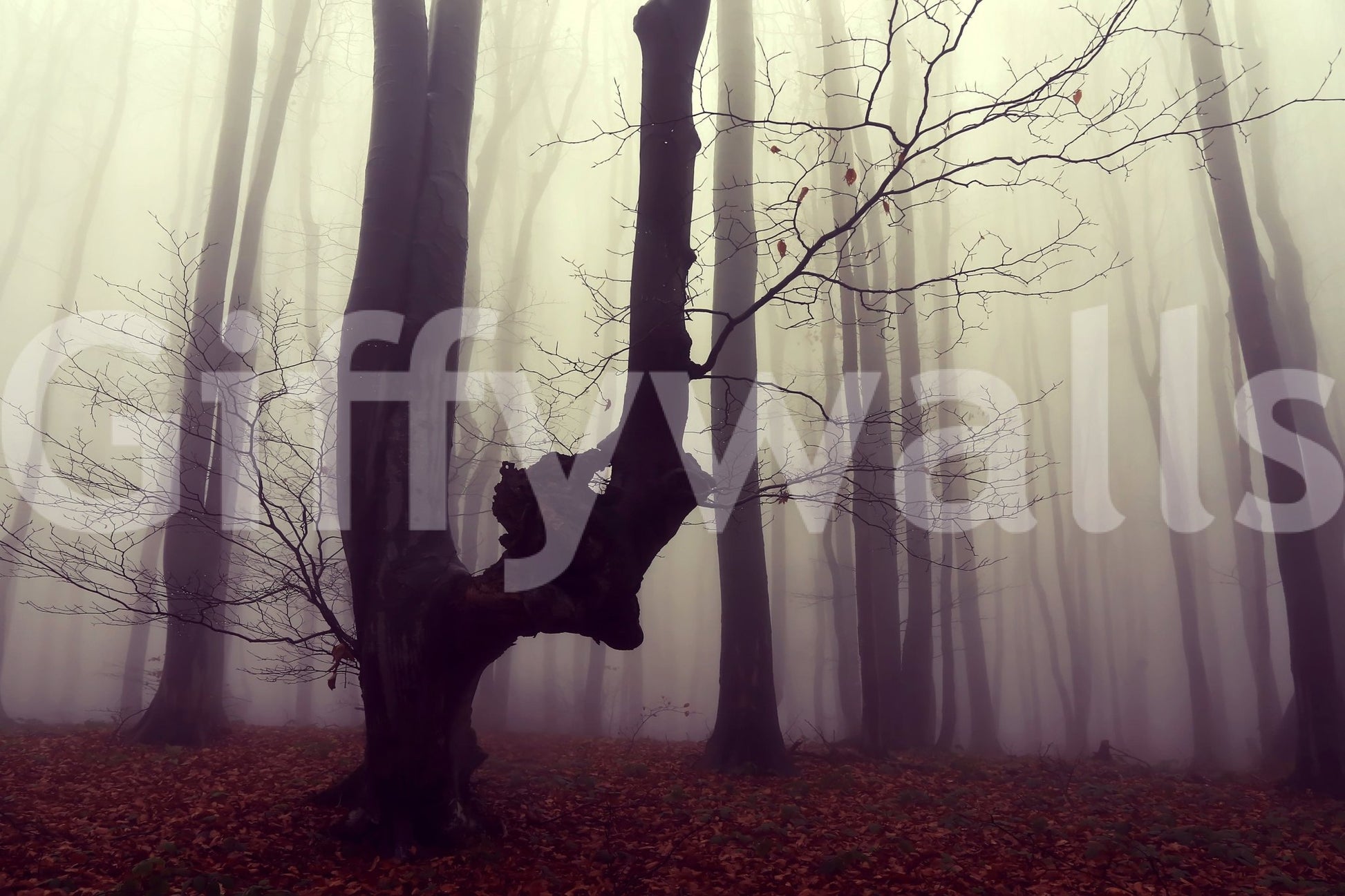Beautiful Gothic Woodland Forest scene, sculptural shapes, decorative mural.