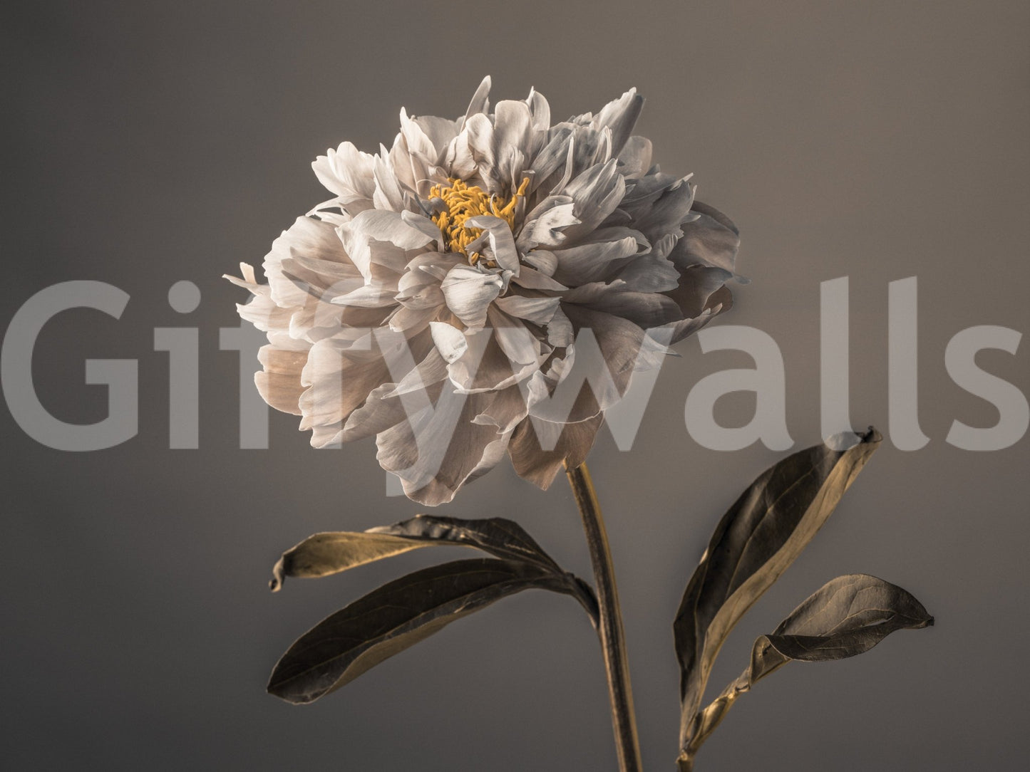Beautiful blooming flowers wall mural, GD1895