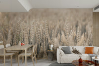 The composition is a wide view of the field.

