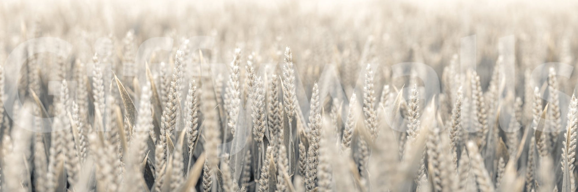 The mural acts as a calming and natural focal point.