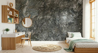Sophisticated office with Granite Depths wall mural.