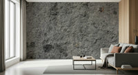 Stylish living room with gray wall mural.