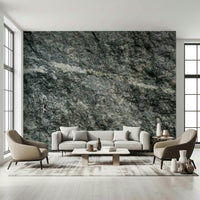 Close-up of granite grey mural's speckled texture.