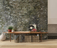 Granite Grit wallpaper enhancing a sophisticated entryway.