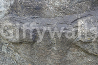 A tranquil subtle texture mural on the wallpaper., GD6041