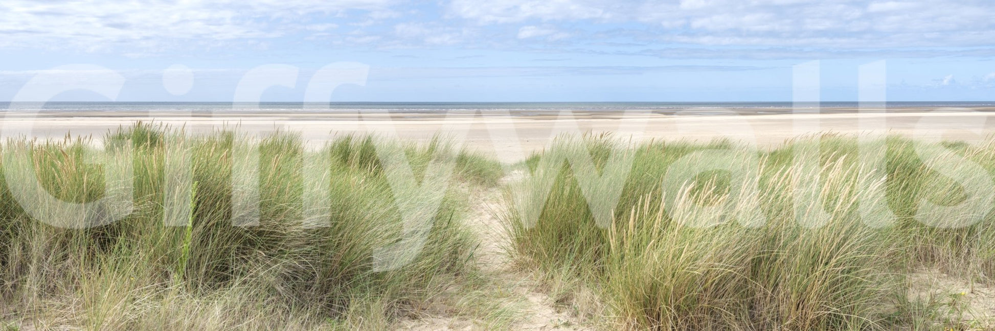 Grassland by the Sea Wall Mural with coastal dune grass leading toward the shore