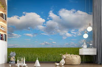 Spacious room wallpaper Grassland Under Sky Wall Mural