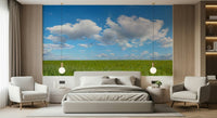 Fluffy white clouds Grassland Under Sky Wall Mural