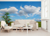 Serene field mural wallpaper Grassland Under Sky Wall Mural