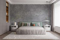 Smooth gray cement wallpaper mural decor, B384