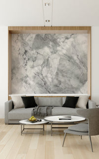 A serene abstract texture wall mural for luxurious decor.