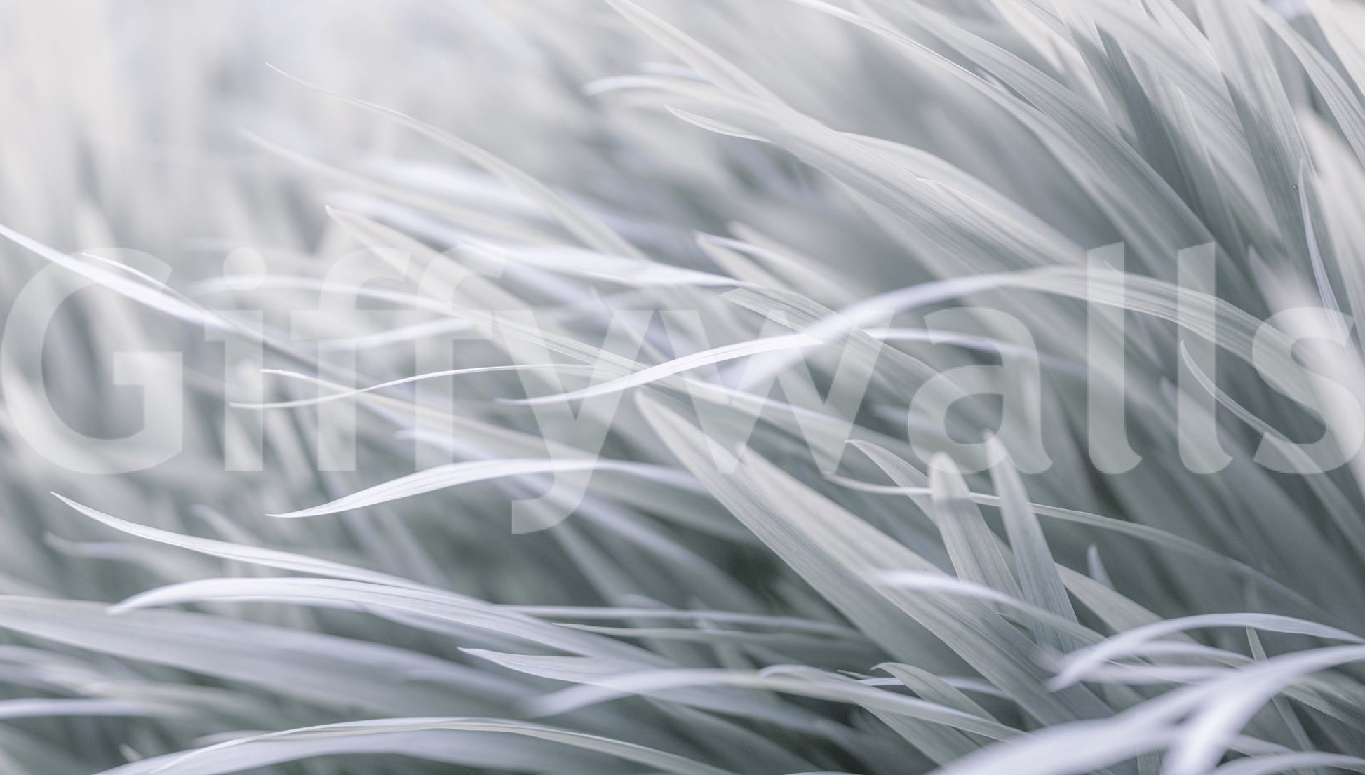 Wall decor evoking serenity and nature's calm.

