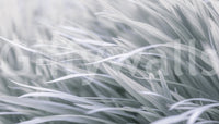Wall decor evoking serenity and nature's calm.

