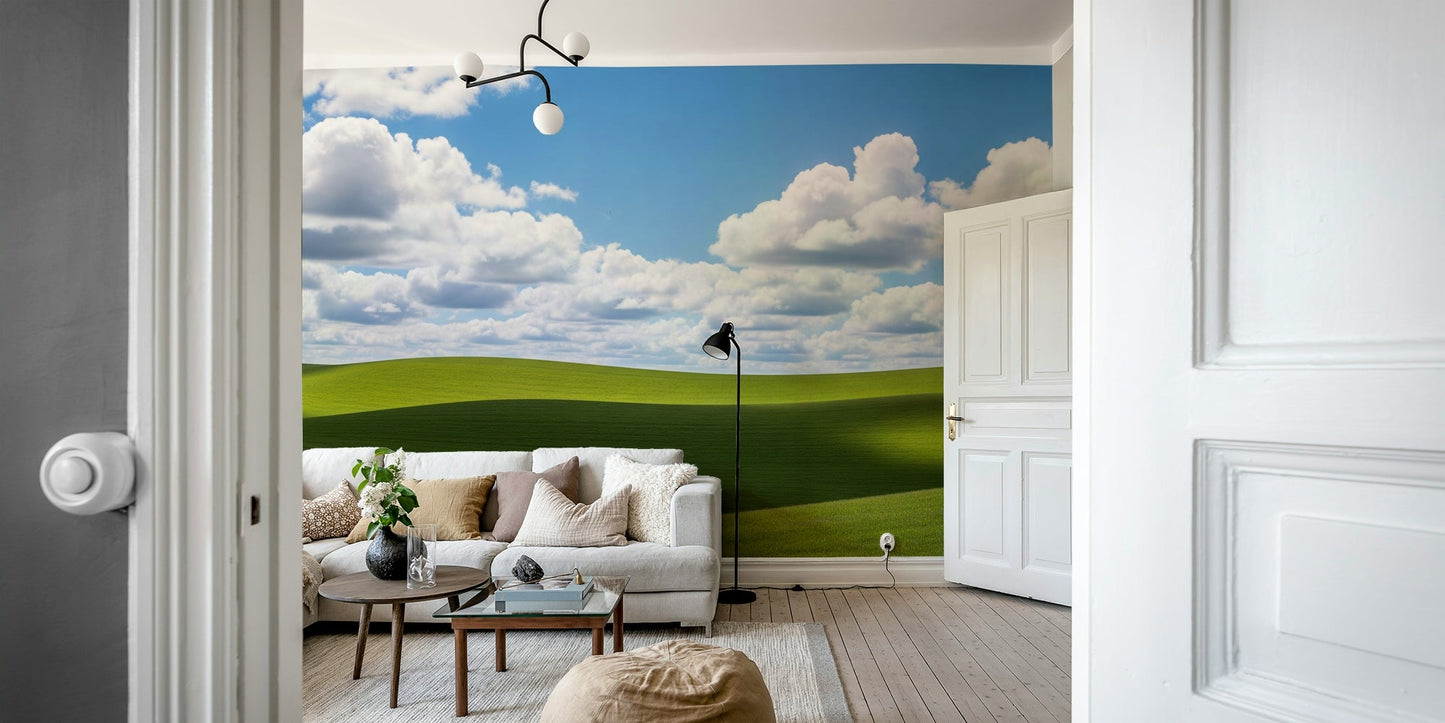A calming serene design wallpaper mural that defines a space.

