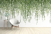 Green Hanging Ivy Leaves Wallpaper Mural - Giffywalls tropical-13