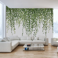 Green ivy wallpaper mural for serene decor tropical-13
